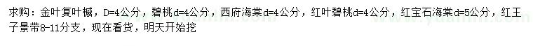 求购金叶复叶槭、碧桃、西府海棠等