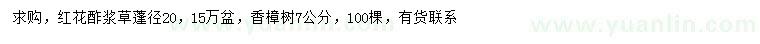 求购蓬径20公分红花酢浆草、7公分香樟