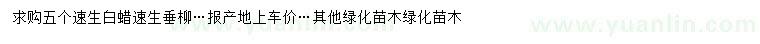 求购速生白蜡、速生垂柳