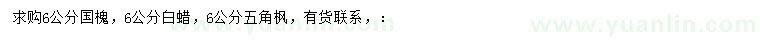求购6公分国槐、白蜡、五角枫