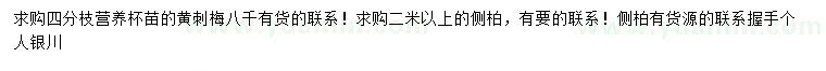 求购4公分黄刺梅、2米以上侧柏