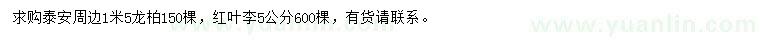 求购1.5米龙柏、5公分红叶李