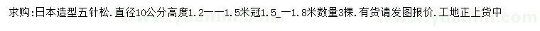 求购10公分日本造型五针松