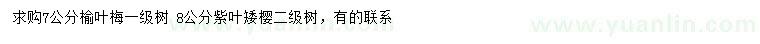 求购7公分榆叶梅、8公分紫叶矮樱