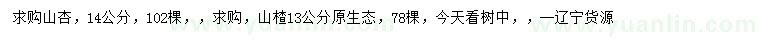 求购14公分山杏、13公分山楂