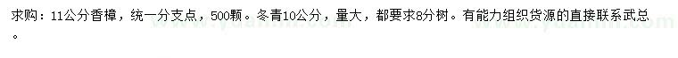 求购11公分香樟、10公分冬青
