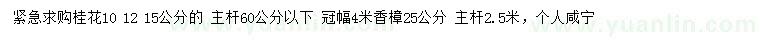 求购10、12、15公分桂花、冠幅4米香樟