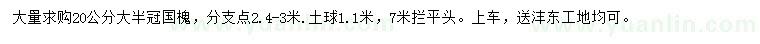 求购20公分国槐