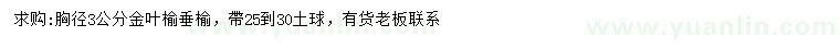 求购胸径3公分金叶榆垂榆