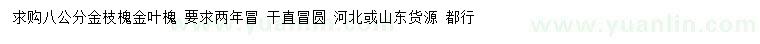 求购8公分金枝槐、金叶槐