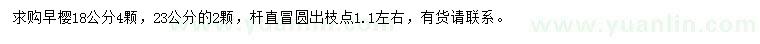 求购18、23公分早樱