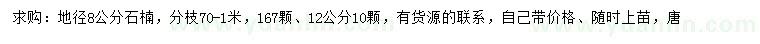 求购地径8、12公分石楠