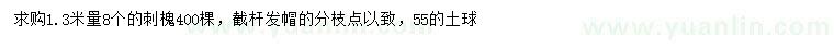 求购1.3米量8公分刺槐