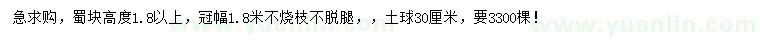 求购高1.8米以上蜀桧