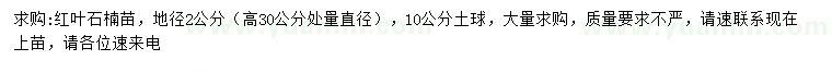 求购30量2公分红叶石楠