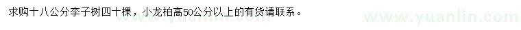 求购18公分李子树、高50公分以上小龙柏