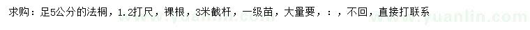 求购1.2米打尺5公分法桐