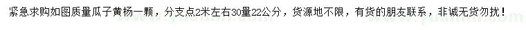 求购30量22公分瓜子黄杨