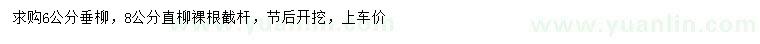 求购6公分垂柳、8公分直柳