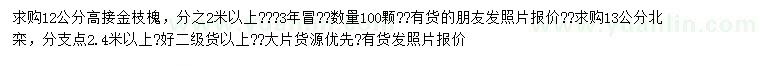 求购12公分高接金枝槐、13公分北栾