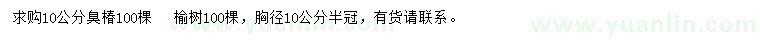 求购胸径10公分臭椿、榆树