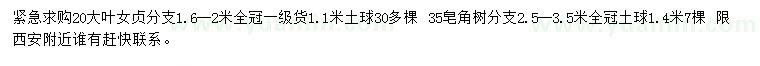 求购20公分大叶女贞、35公分皂角树