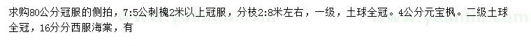 求购侧柏、刺槐、元宝枫等