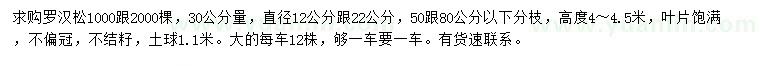 求购30公分量12、22公分罗汉松