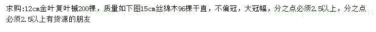 求购12公分金叶复叶槭、15公分丝绵木