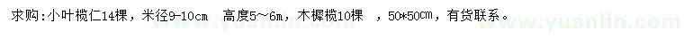 求购米径9-10公分小叶榄仁、木樨榄