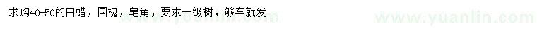 求购白蜡、国槐、皂角