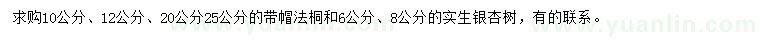 求购10、12、20、25公分法桐、6、8公分银杏树