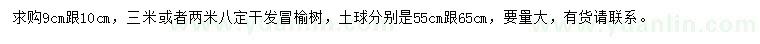 求购9、10公分榆树