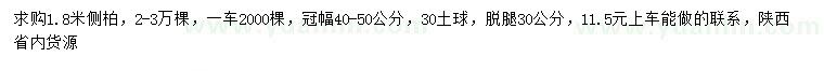 求购高1.8米侧柏