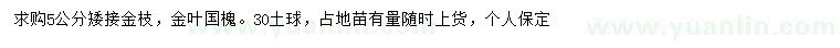 求购5公分金枝、金叶国槐