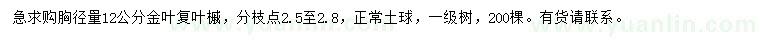 求购胸径12公分金叶复叶槭