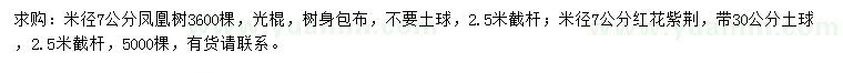 求购米径7公分凤凰树、红花紫荆