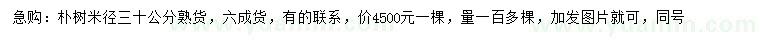 求购米径30公分朴树