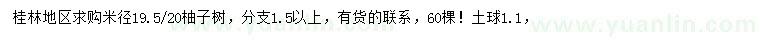 求购米径19.5、20公分柚子树