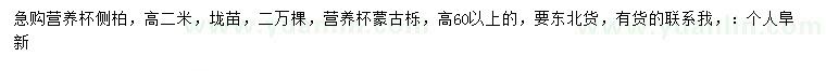 求购高2米侧柏、高60公分以上蒙古栎