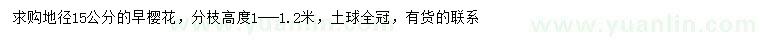 求购地径15公分早樱