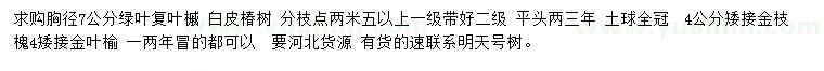 求购绿叶复叶槭、白皮椿树、金枝槐等