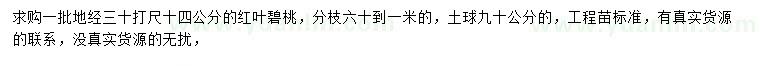 求购30公分打尺14公分红叶碧桃