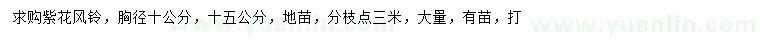 求购胸径10、15公分紫花风铃