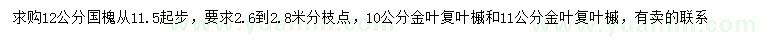 求购11.5公分以上国槐、10、11公分金叶复叶槭