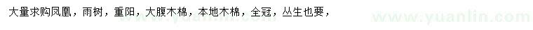 求购凤凰木、雨树、重阳木等