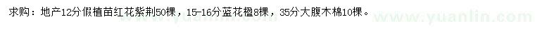 求购红花紫荆、蓝花楹、大腹木棉等