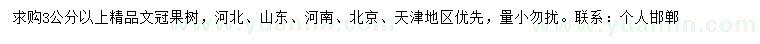 求购3公分以上文冠果树