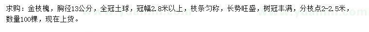 求购胸径13公分金枝槐