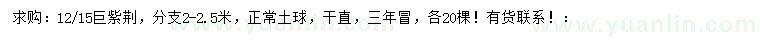 求购12、15公分巨紫荆